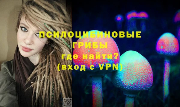 спайс Алексин