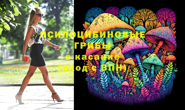 спайс Алексин