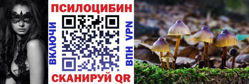 Псилоцибиновые грибы мицелий  Инсар 